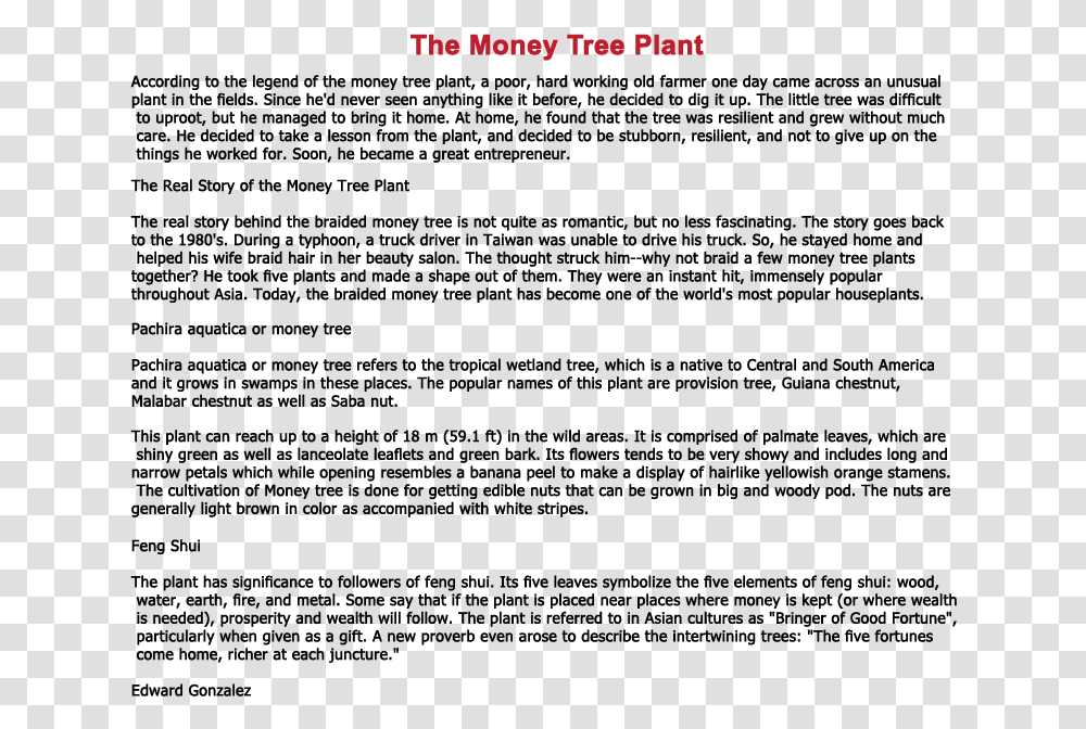 Jade Plant Feng Shui Story Of Money Tree, Gray Transparent Png
