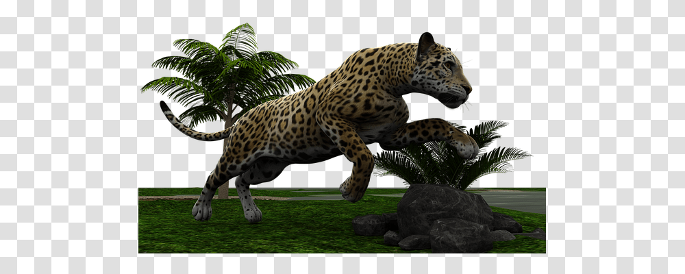 Jaguar Nature, Panther, Wildlife, Mammal Transparent Png
