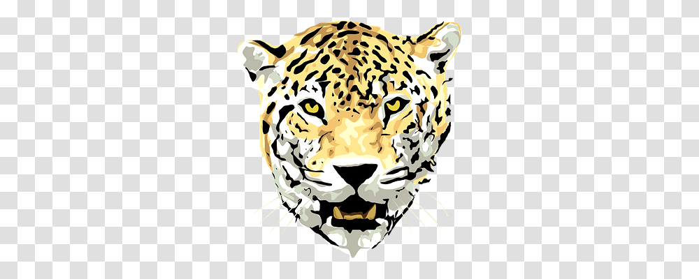 Jaguar Animals, Mammal, Wildlife, Panther Transparent Png