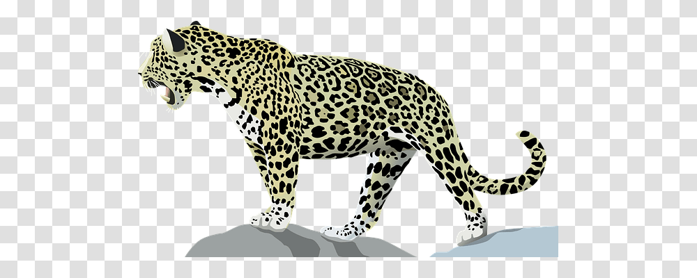 Jaguar Nature, Panther, Wildlife, Mammal Transparent Png