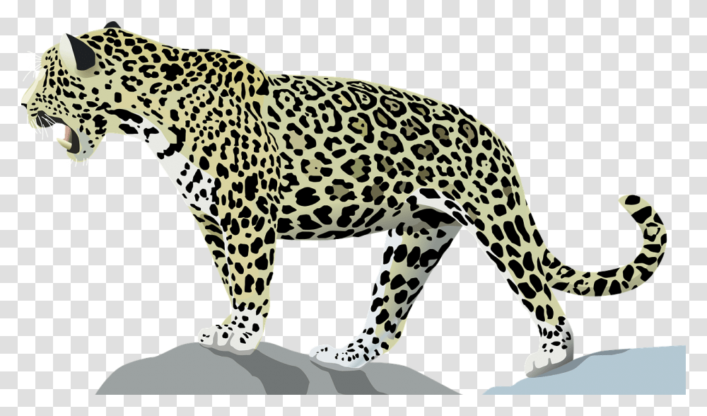 Jaguar Animal Cat Wild Jungle Mammal Feline Jaguar Clip Art, Panther, Wildlife, Leopard, Cheetah Transparent Png