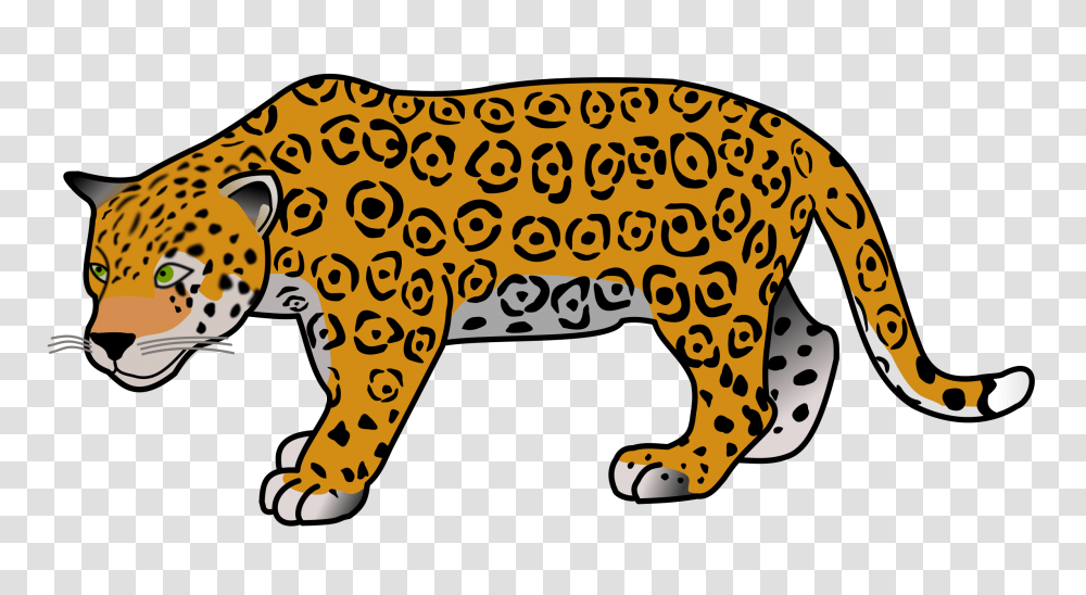 Jaguar, Animals, Cheetah, Wildlife, Mammal Transparent Png