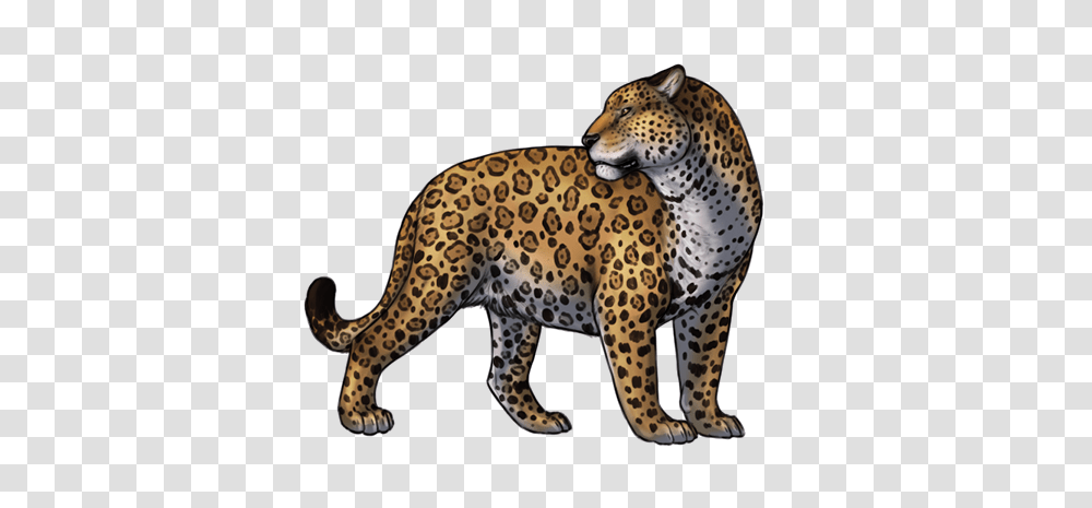 Jaguar, Animals, Cheetah, Wildlife, Mammal Transparent Png