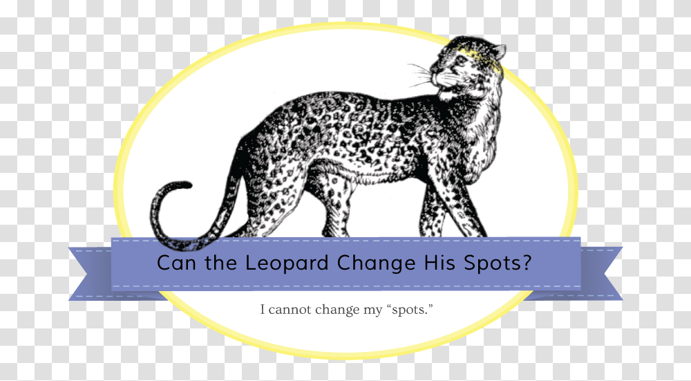 Jaguar Banner Cheetah, Wildlife, Animal, Mammal, Panther Transparent Png