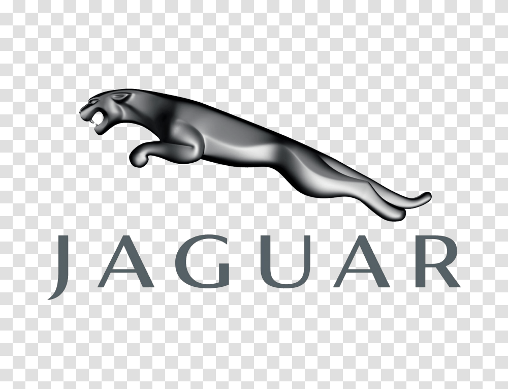 Jaguar Car Logo Brand Image, Animal, Blow Dryer, Appliance, Wildlife Transparent Png