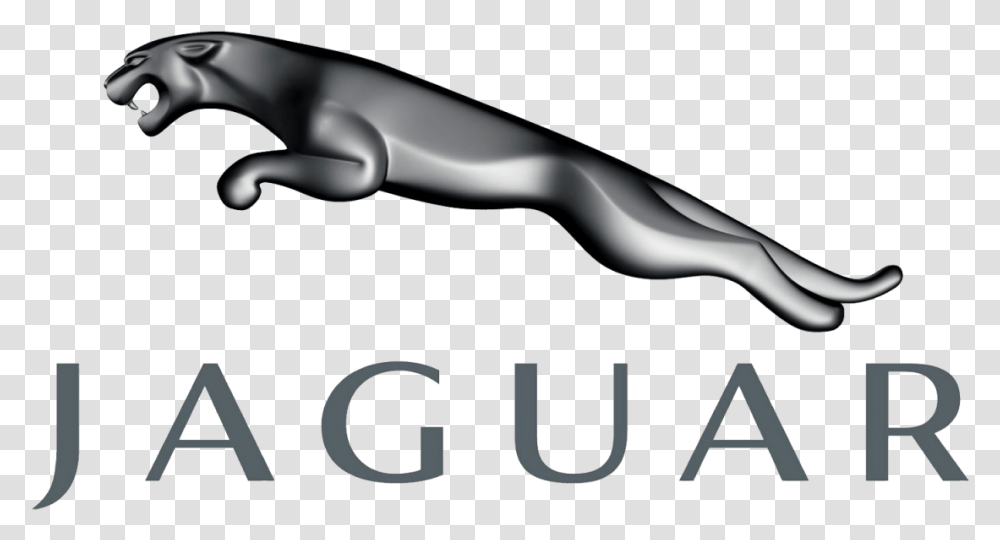 Jaguar Car Logo Image Jaguar Logo, Vehicle, Transportation, Animal Transparent Png