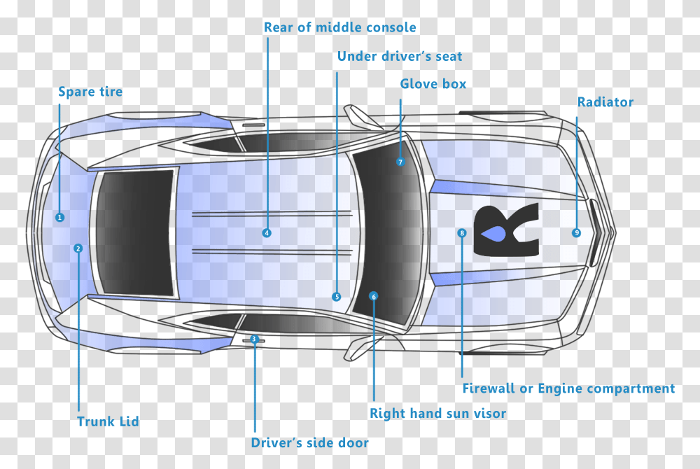 Jaguar Car Spray Paint Diagram, Plot, Transportation, Vehicle, Monitor Transparent Png
