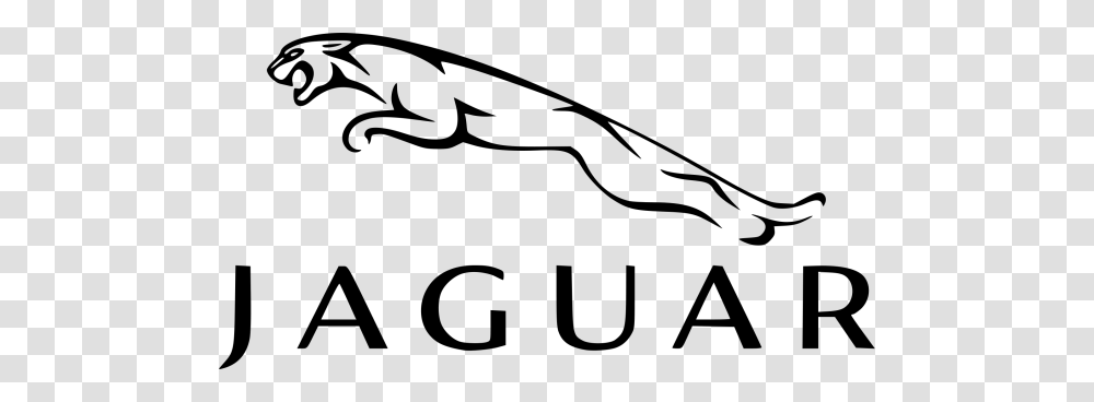Jaguar Clipart Black And White Nice Clip Art, Gray, World Of Warcraft Transparent Png