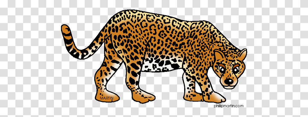 Jaguar Clipart Realistic For Free Download Sharma, Wildlife, Animal, Panther, Mammal Transparent Png