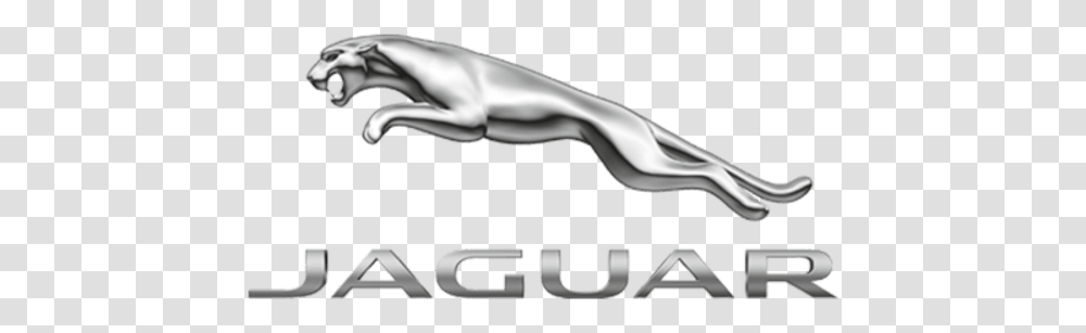 Jaguar Dealership In Reading Jaguar Logo 1 1, Animal, Fish, Sea Life, Eel Transparent Png