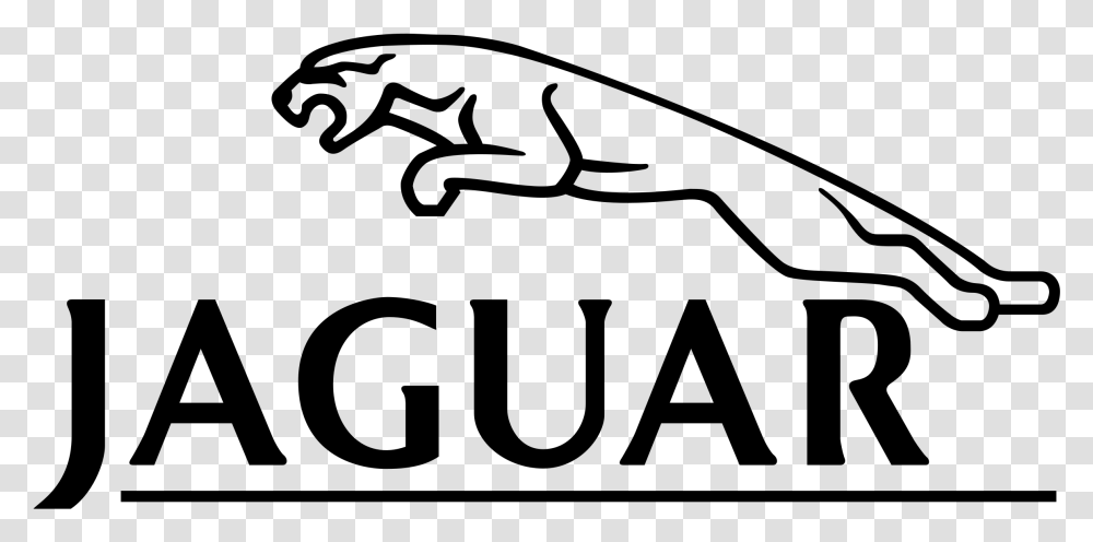 Jaguar, Gray, World Of Warcraft Transparent Png
