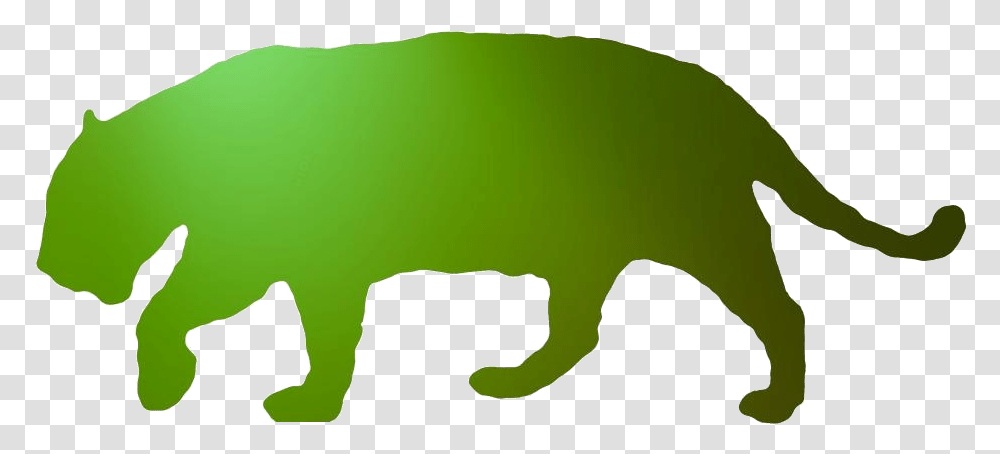 Jaguar Images Jaguar Animal White Background, Mammal, Green, Outdoors, Land Transparent Png