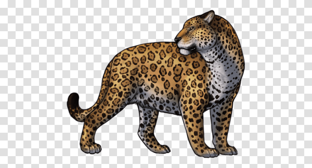 Jaguar Images Jaguar, Wildlife, Animal, Panther, Mammal Transparent Png