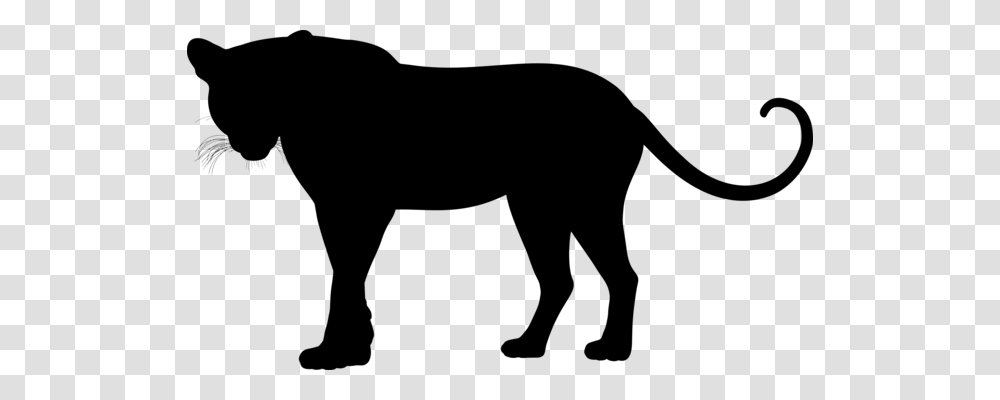 Jaguar Leopard Cheetah Felidae Art, Gray, World Of Warcraft Transparent Png