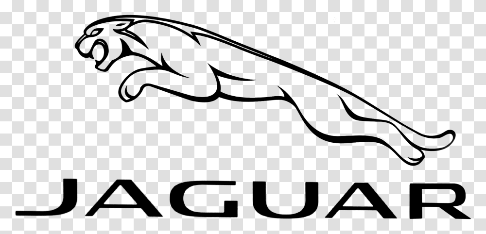 Jaguar Logo, Gray, World Of Warcraft Transparent Png