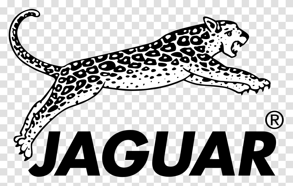 Jaguar Logo Hairdressing Logo Jaguar Hair Cut, Animal, Wildlife, Reptile, Amphibian Transparent Png