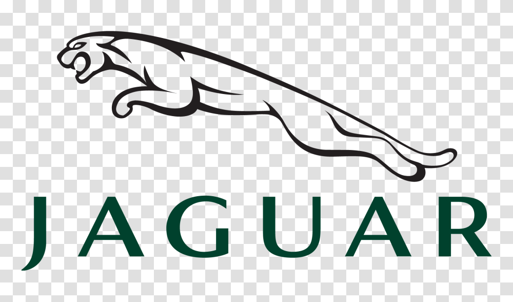 Jaguar Logo Hd Meaning Information, Gun, Animal, Amphibian, Wildlife Transparent Png