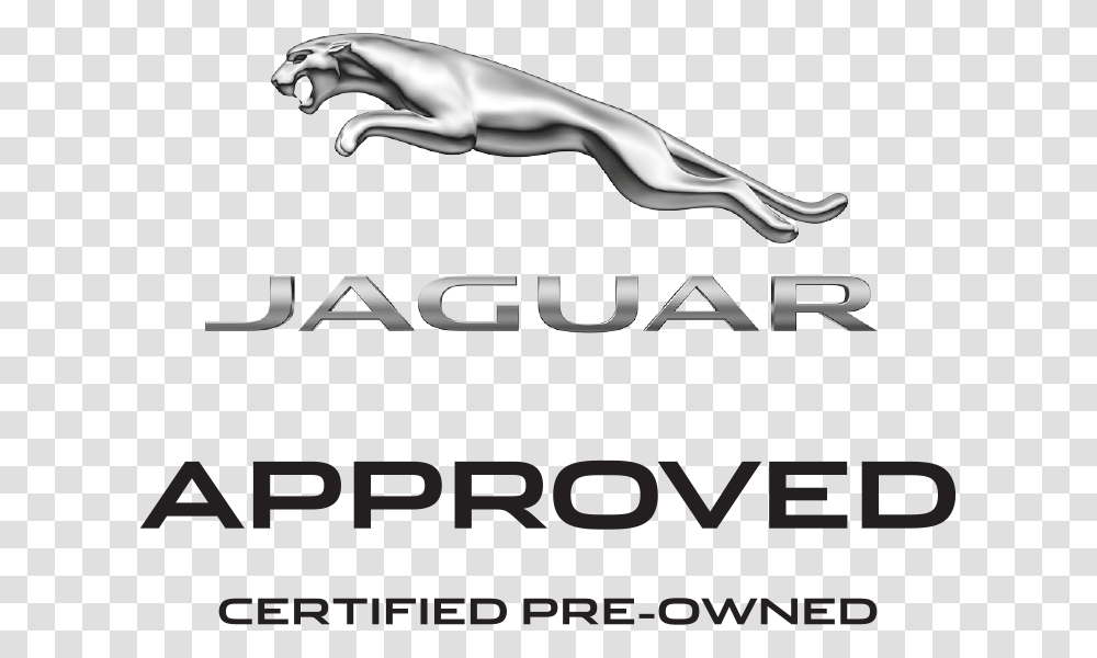 Jaguar, Logo, Trademark, Person Transparent Png