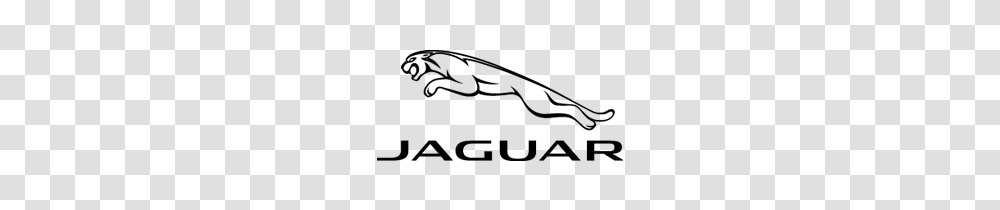 Jaguar Logo The Eye Emporium, Leisure Activities, Airliner Transparent Png