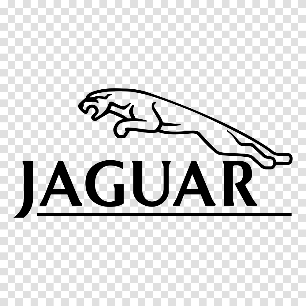 Jaguar Logo Vector, Gray, World Of Warcraft Transparent Png
