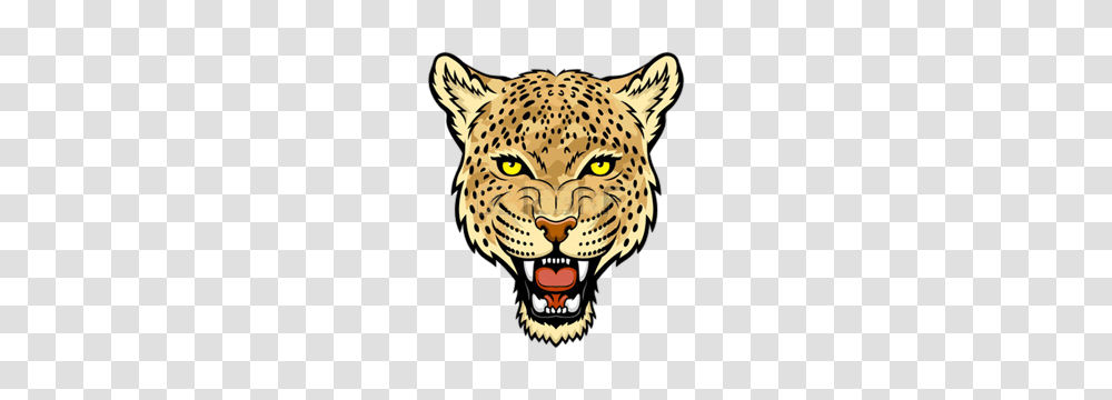 Jaguar, Mammal, Animal, Wildlife, Cheetah Transparent Png
