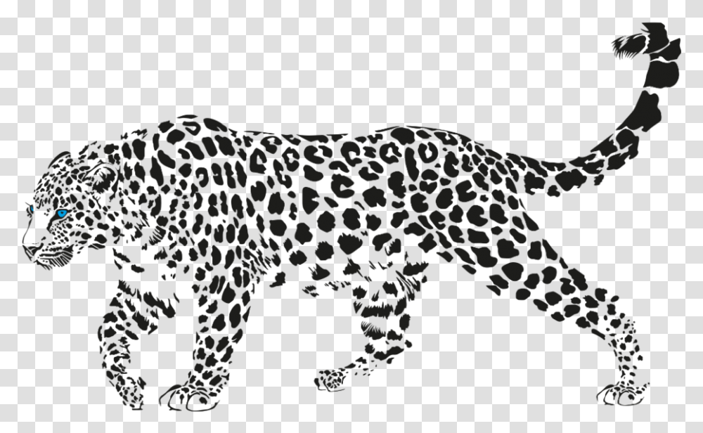 Jaguar Walking Pic Jaguar Walking, Panther, Wildlife, Mammal, Animal Transparent Png