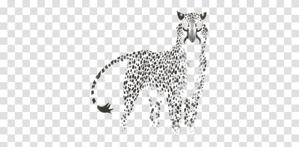 Jaguar, Wildlife, Animal, Cheetah, Mammal Transparent Png