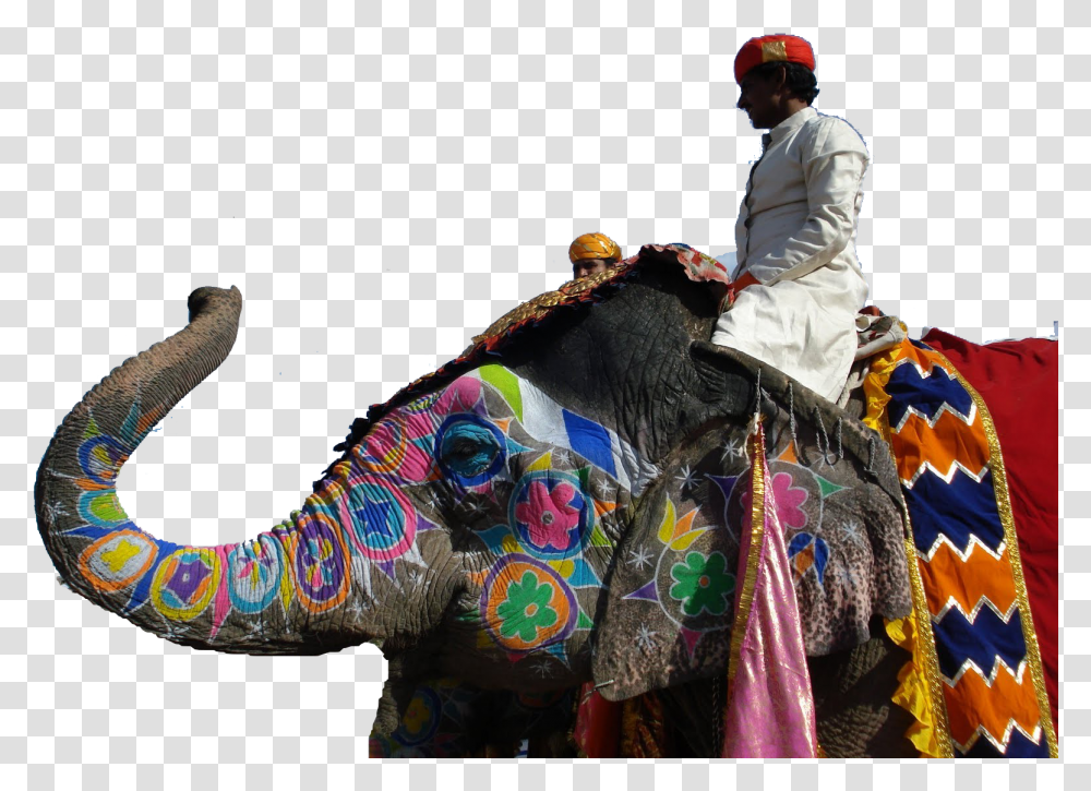 Jaipur Elephant Festival Background, Person, Human, Mammal, Animal Transparent Png