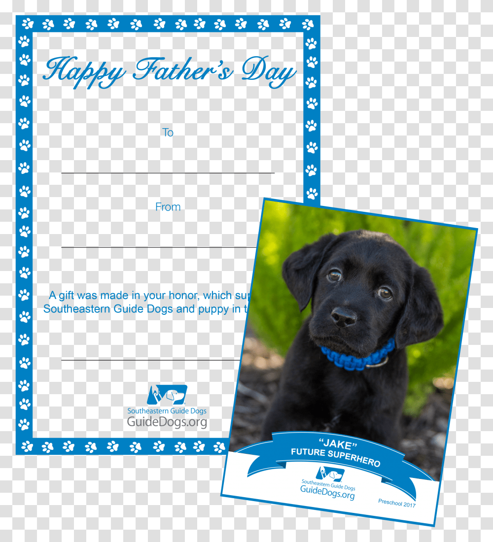Jake The Dog Labrador Retriever, Poster, Advertisement, Flyer, Paper Transparent Png