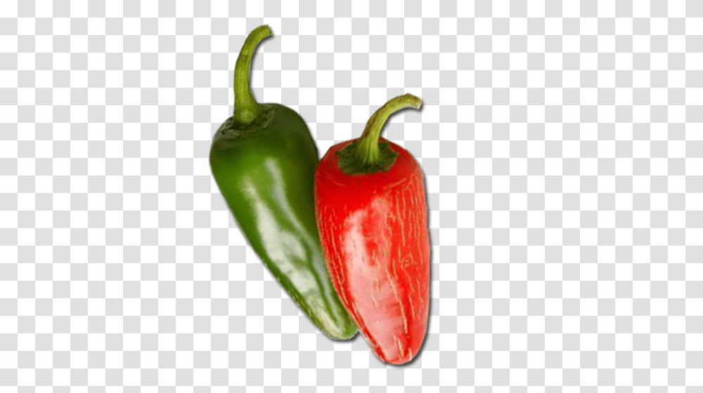 Jalapeno M Pepper Buy Hybrid Vegetable Flower, Plant, Food, Bell Pepper Transparent Png
