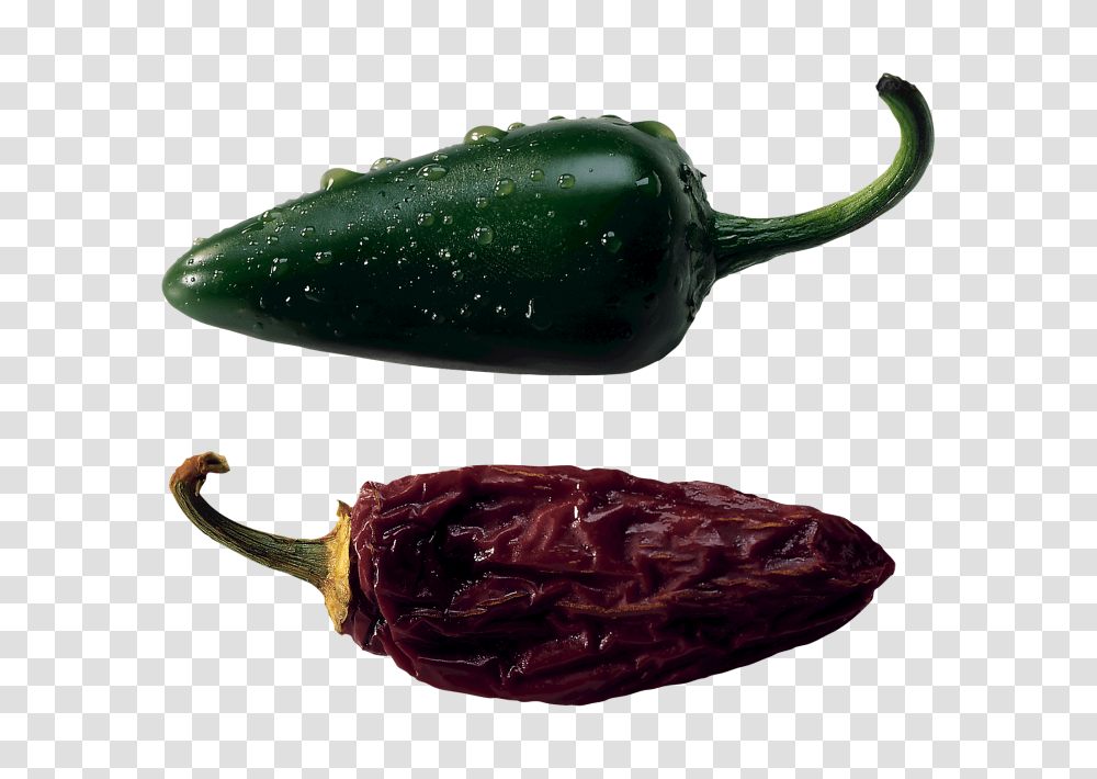 Jalapeno Pepper Image, Plant, Vegetable, Food, Bell Pepper Transparent Png