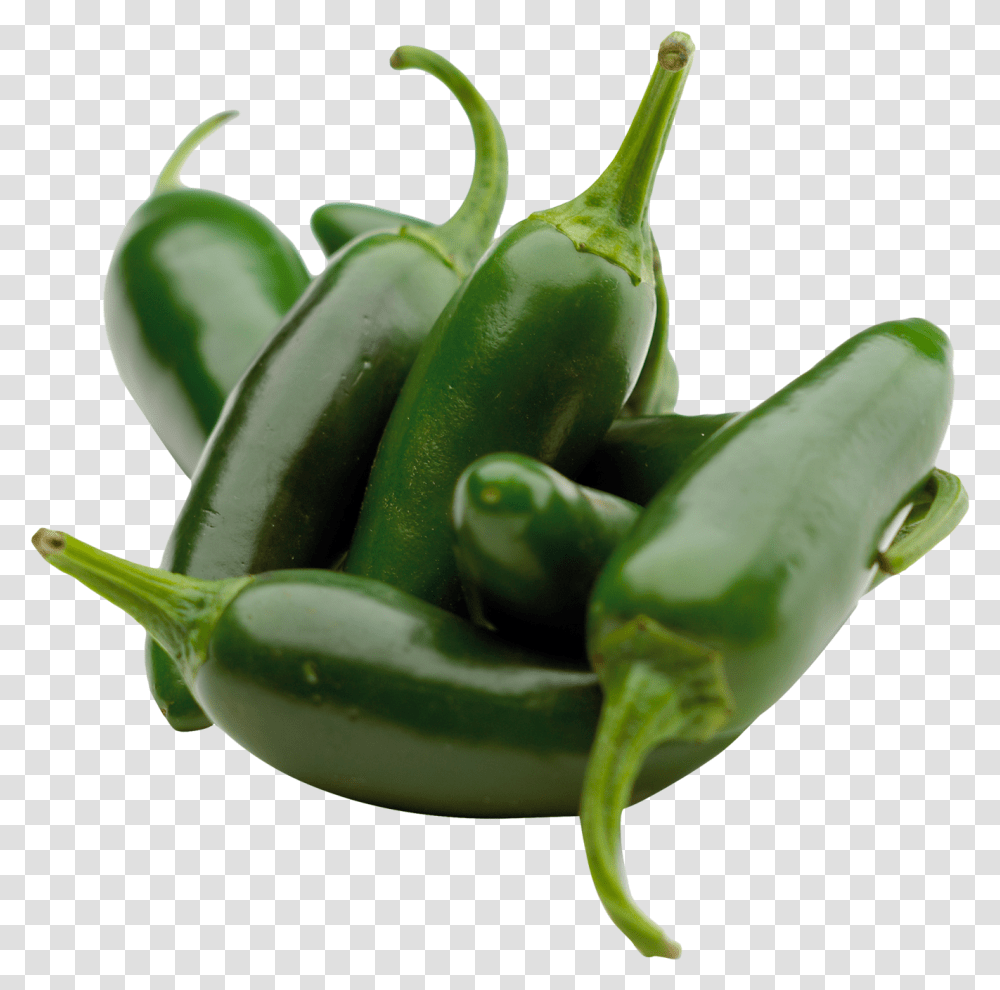 Jalapeno Pepper, Plant, Vegetable, Food, Bell Pepper Transparent Png