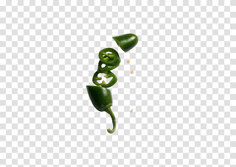 Jalapeno Peppers Image, Plant, Sprout, Green, Flower Transparent Png