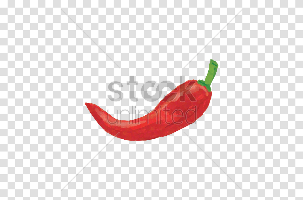Jalapeno Vector Image, Plant, Bow, Food, Pepper Transparent Png