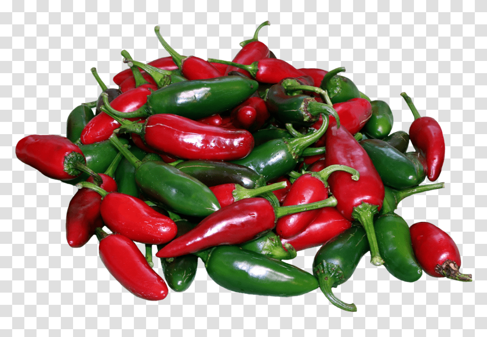 Jalapenos Clipart Bird's Eye Chili, Plant, Lobster, Seafood, Sea Life Transparent Png