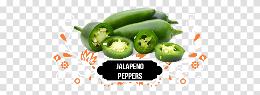 Jalepeno Peppers, Plant, Food, Vegetable, Bell Pepper Transparent Png