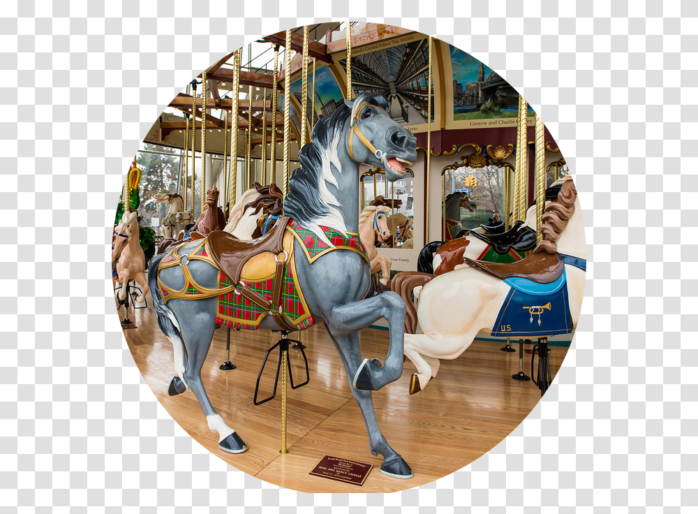 Jama & Chris Carousel, Horse, Mammal, Animal, Amusement Park Transparent Png
