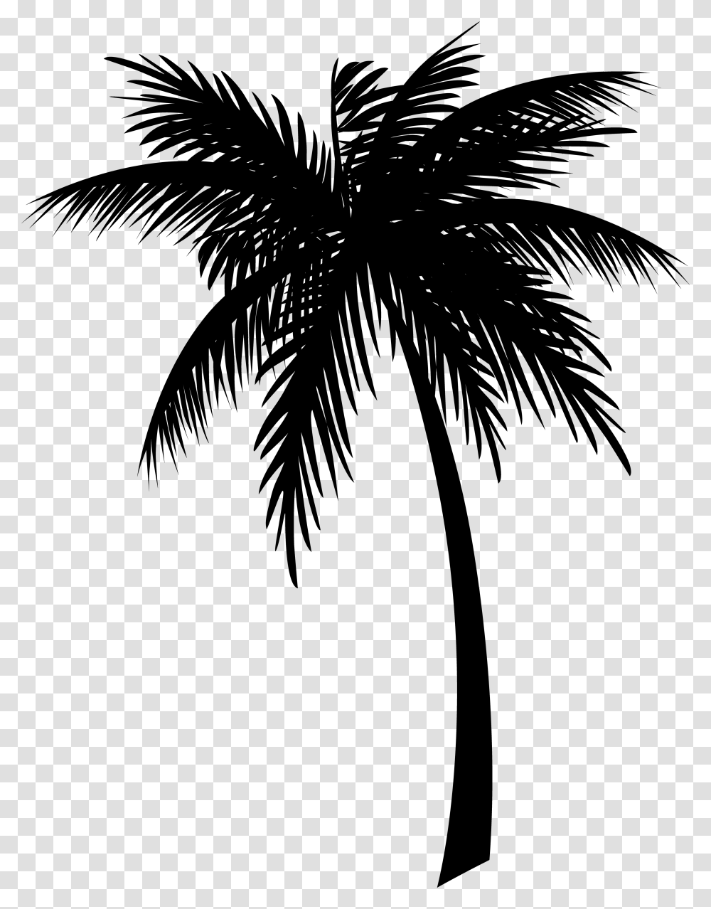 Jamaica Coconut Clip Art Drawing Palm Trees Coconut Tree Silhouette, Gray, World Of Warcraft Transparent Png
