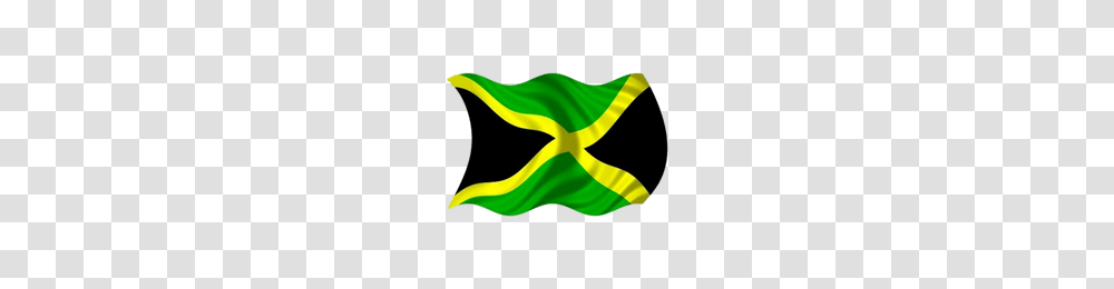 Jamaican Flag Jamaican Flag Images, Logo, Trademark, Aloe Transparent Png