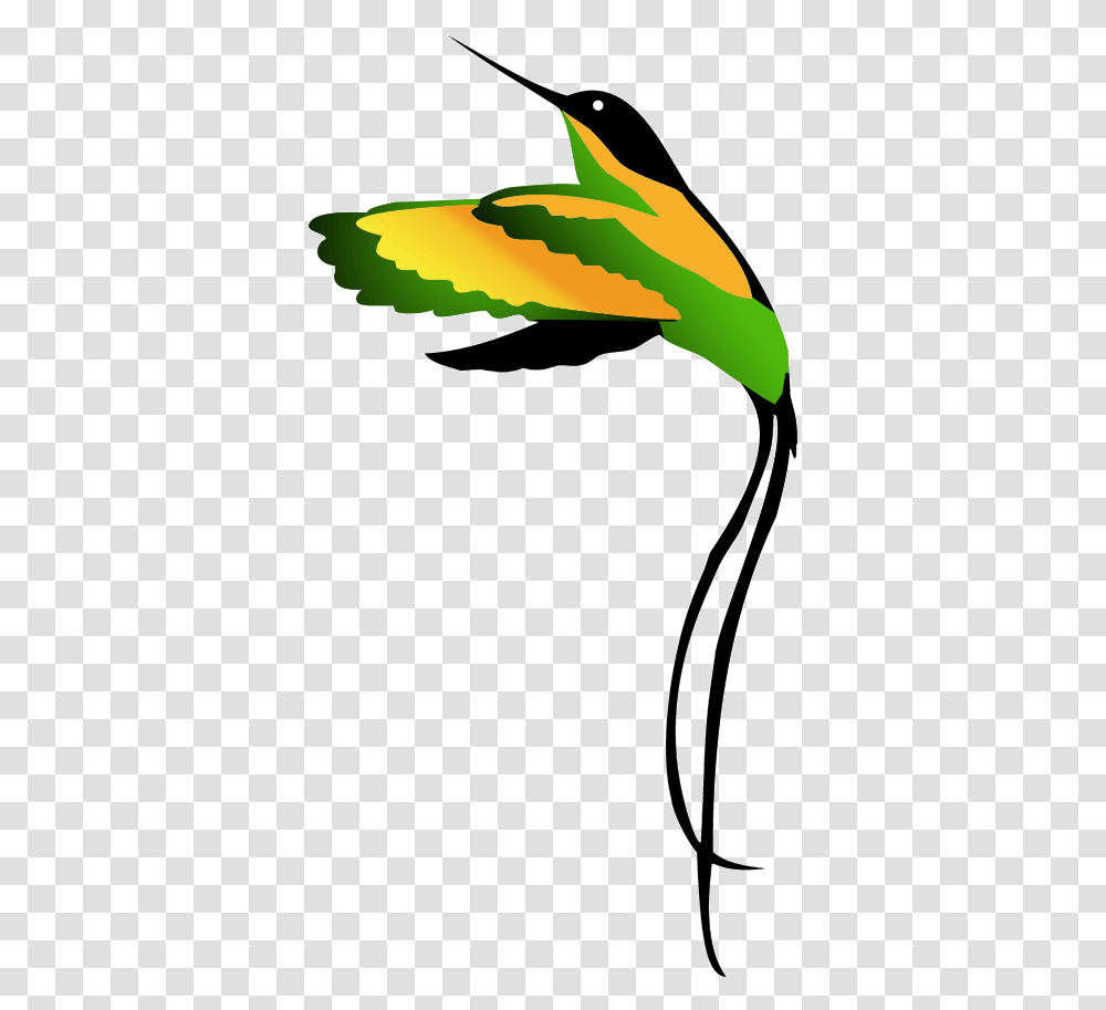 Jamaican National Bird Clipart Drawing Drawing Jamaican National Bird, Plant, Green, Animal, Leaf Transparent Png