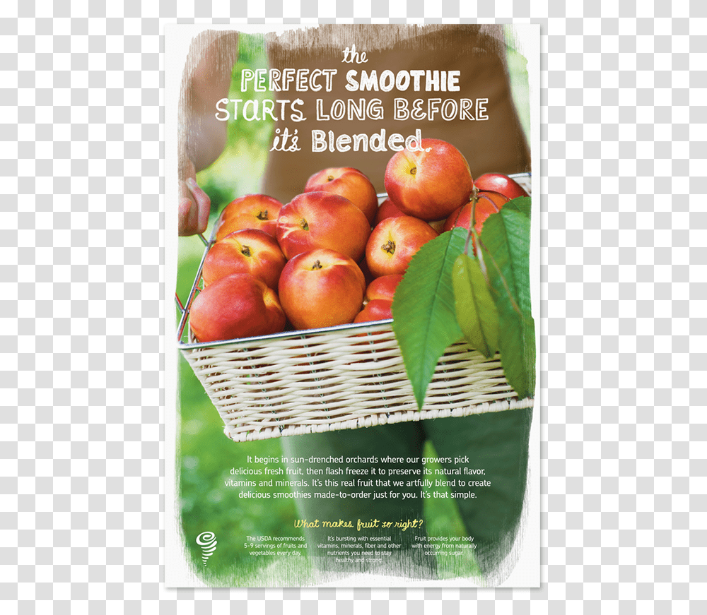 Jamba Juice, Plant, Fruit, Food, Poster Transparent Png