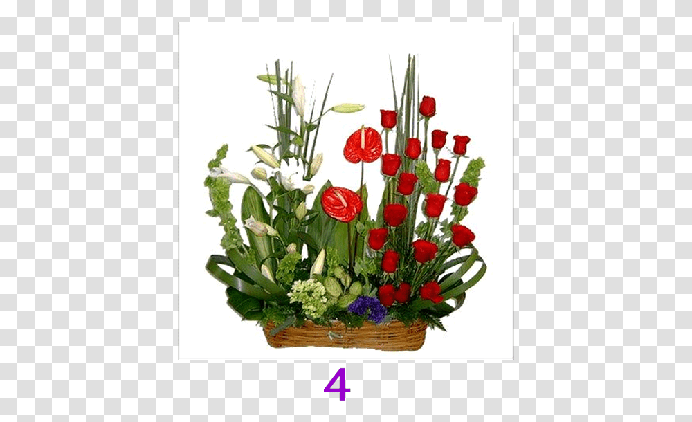 Jane Candy, Plant, Flower, Blossom, Flower Arrangement Transparent Png