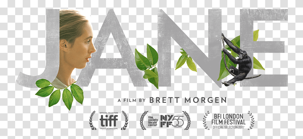 Jane Goodall Documentary, Person, Plant, Alphabet Transparent Png