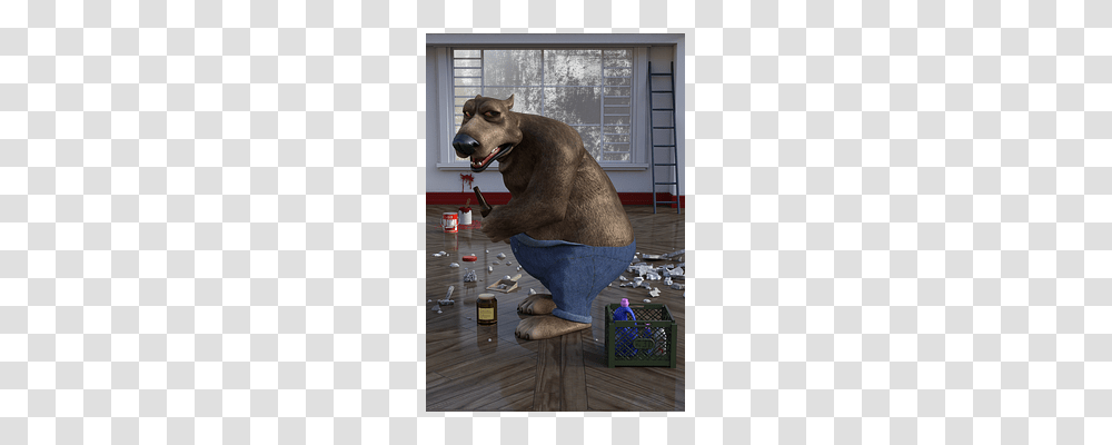 Janitor Tool, Home Decor, Animal, Mammal Transparent Png