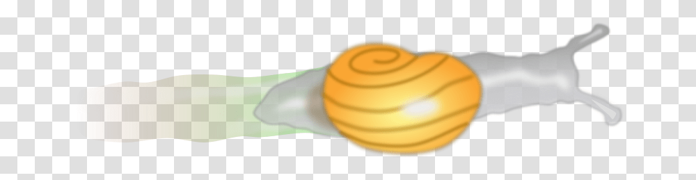 Jantonalcor Snail, Animals, Lighting, Sweets, Food Transparent Png