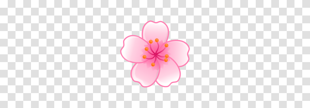 Japan Cherry Blossom, Plant, Flower, Geranium, Anther Transparent Png