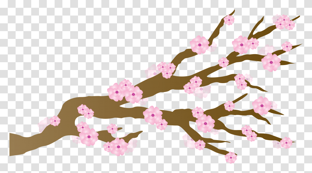 Japan Clipart Cherry Blossom Picture 1434098 Cartoon Cherry Blossom Tree, Plant, Flower Transparent Png