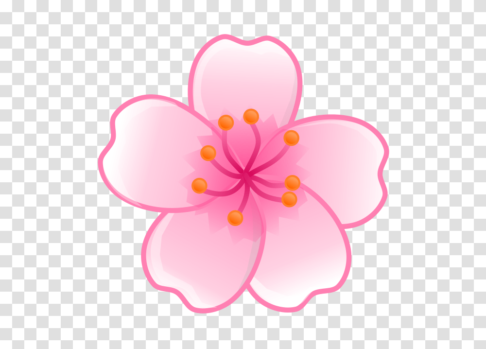 Japan Flower Clipart, Plant, Blossom, Geranium, Anther Transparent Png