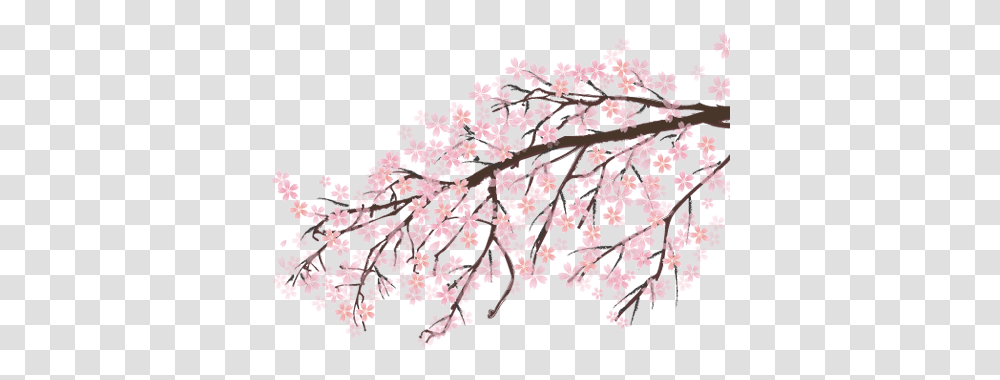 Japan Sakura 1 Image Cherry Blossom, Plant, Flower, Chandelier, Lamp Transparent Png