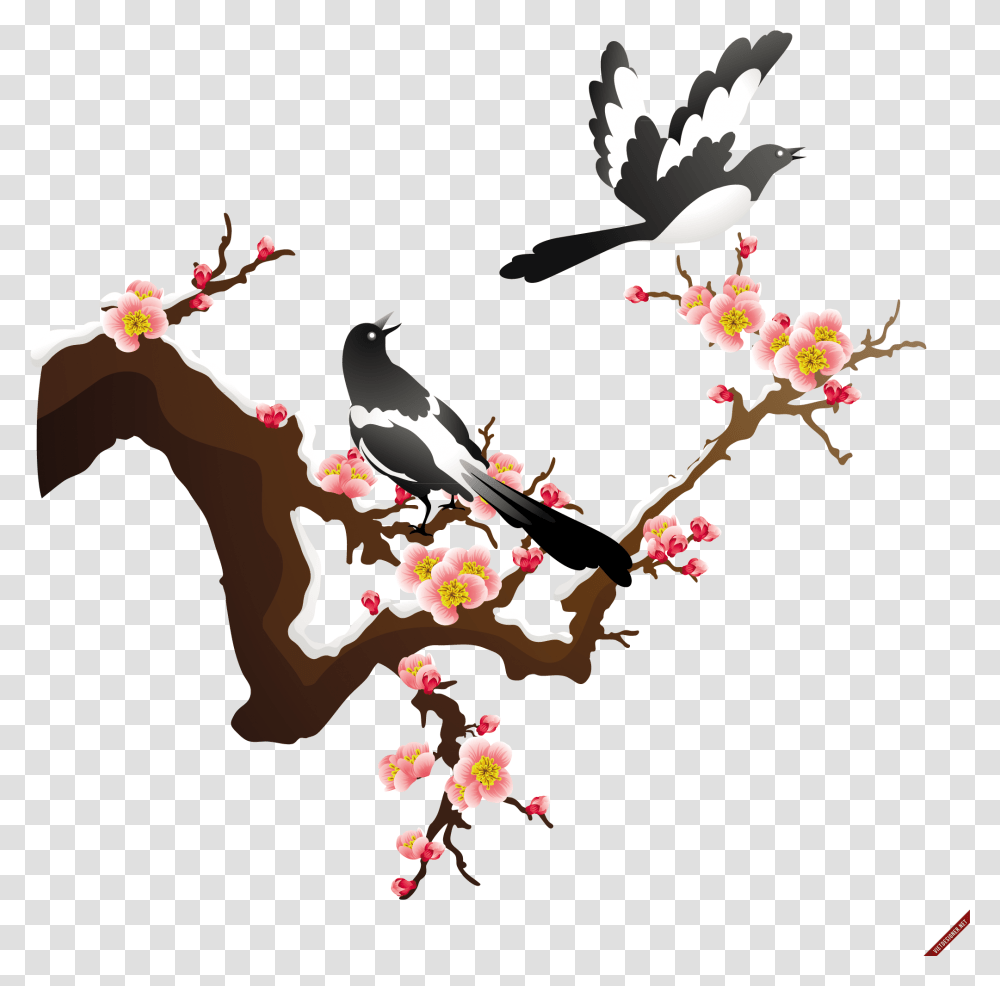Japanese Apricot Flower Vector Download, Bird, Animal, Plant, Blossom Transparent Png
